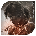 Tomb Raider IX icon